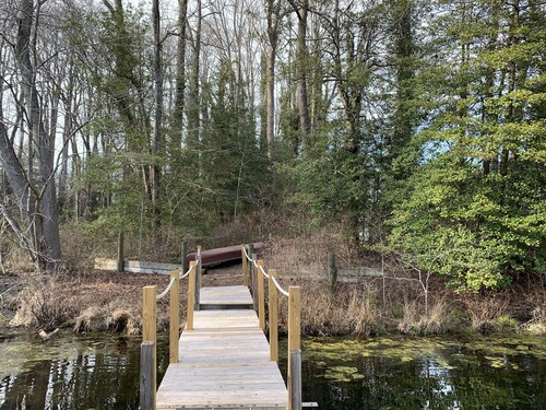 View Peaceful Pond while lounging in this open studio apartment!