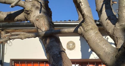 A 2 minutos de La Trochita!! Departamento ideal para de disfrutar sin tecnología