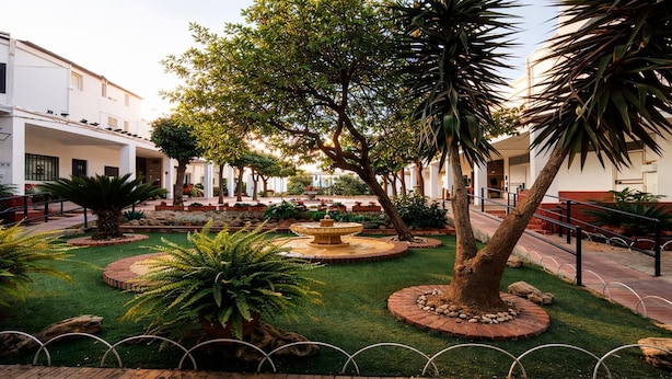 Un pati interior amb una font al centre, envoltat de gespa cuidada, palmeres i una varietat de plantes.