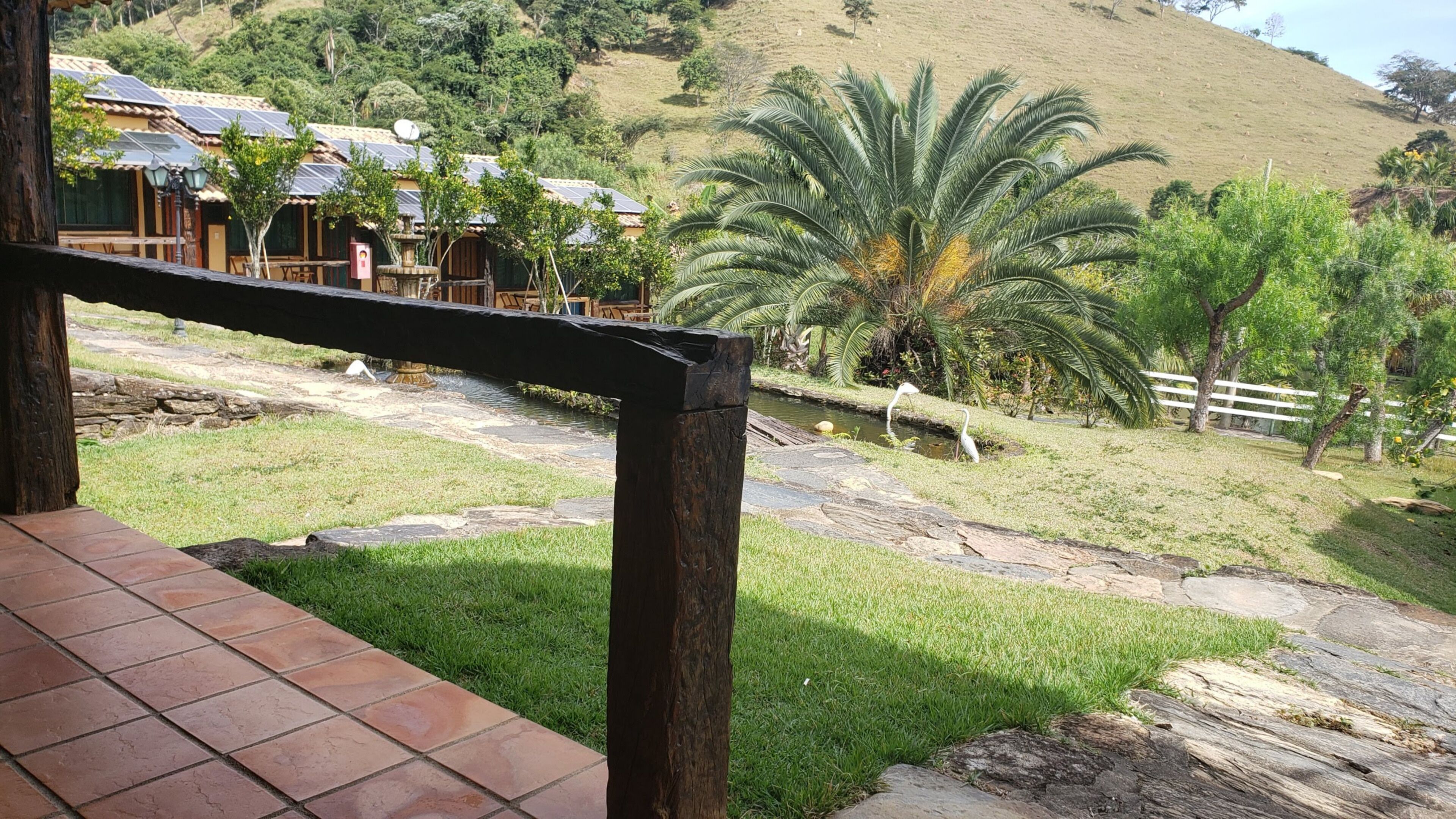 A view of a courtyard with a palm tree, a small pond, and a stone pathway.