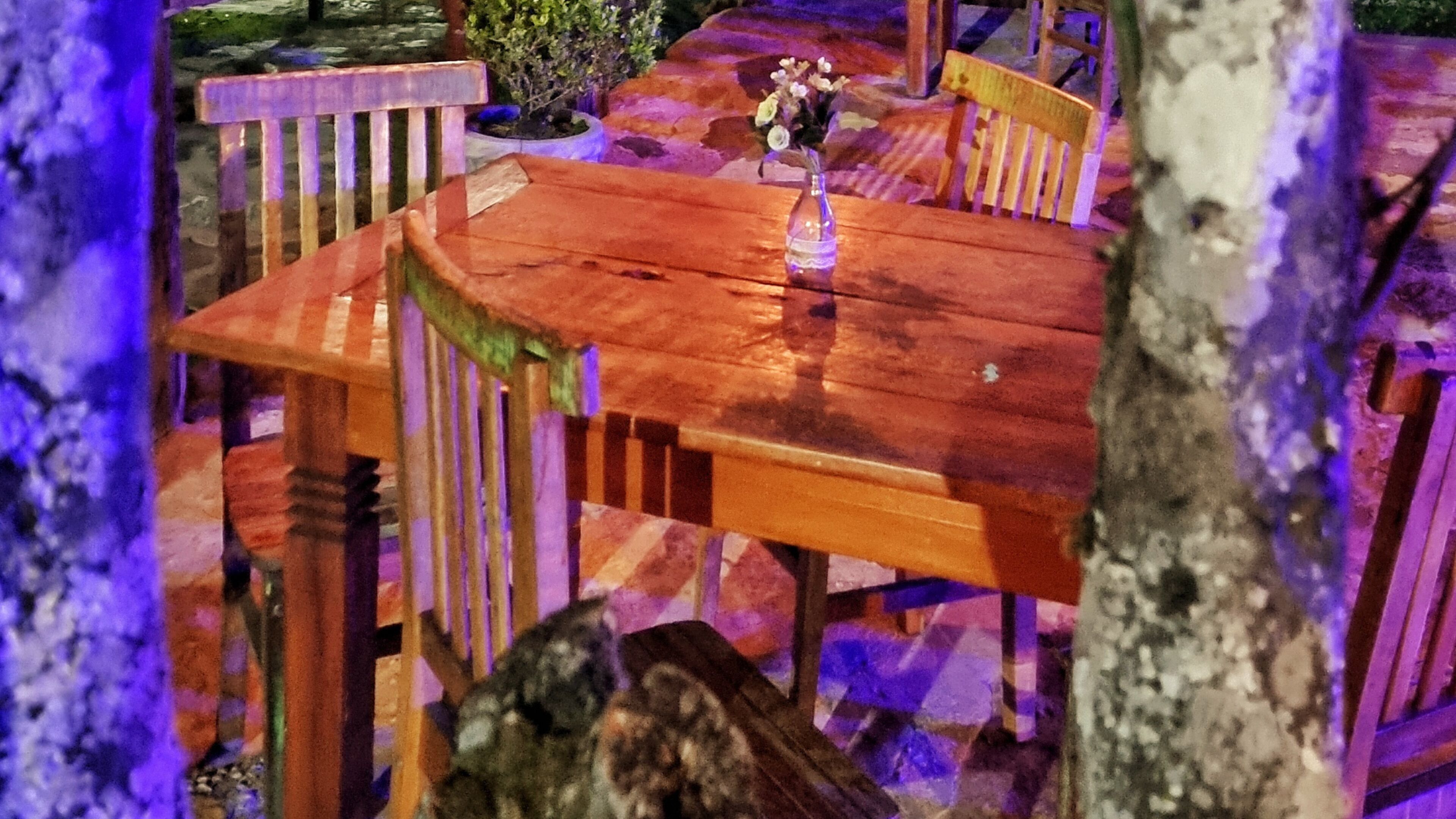 A wooden dining table with chairs, a vase with flowers, and a stone pathway.