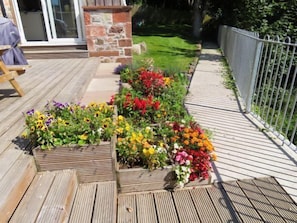 Um deck de madeira com canteiros elevados contendo uma variedade de flores coloridas.