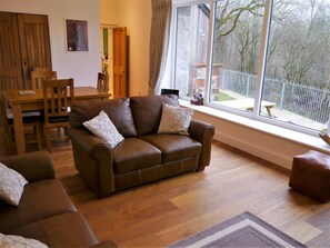 Fernseher, Kamin, DVD-Player