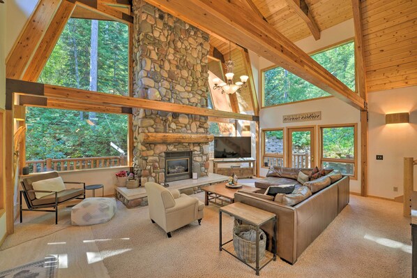 TV, fireplace, books