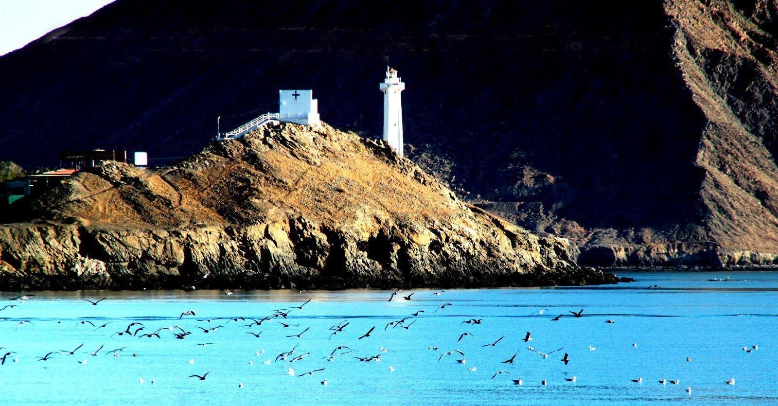 A coastal scene with a lighthouse on a rocky outcrop, a small building, and a flock of birds over the water.