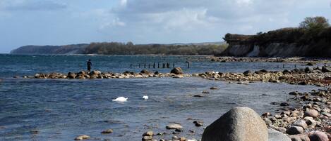 بالقرب من الشاطئ