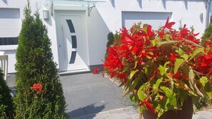 Dettaglio esterni