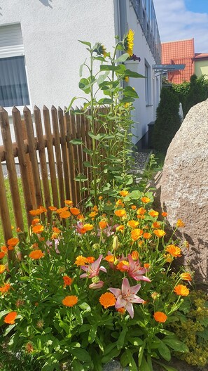 Uklassifisert bilde, 4 av 12, knapp