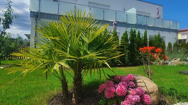 A modern building with a glass facade, surrounded by well-maintained greenery and a clear blue sky. - Apartment 3 - Holiday apartments Godewind (Zinnowitz)