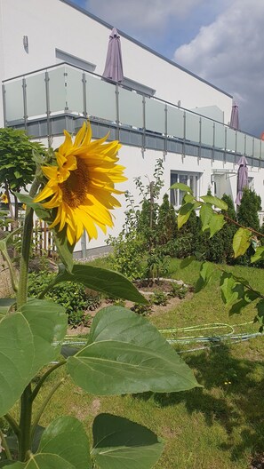 Uklassifisert bilde, 4 av 12, knapp