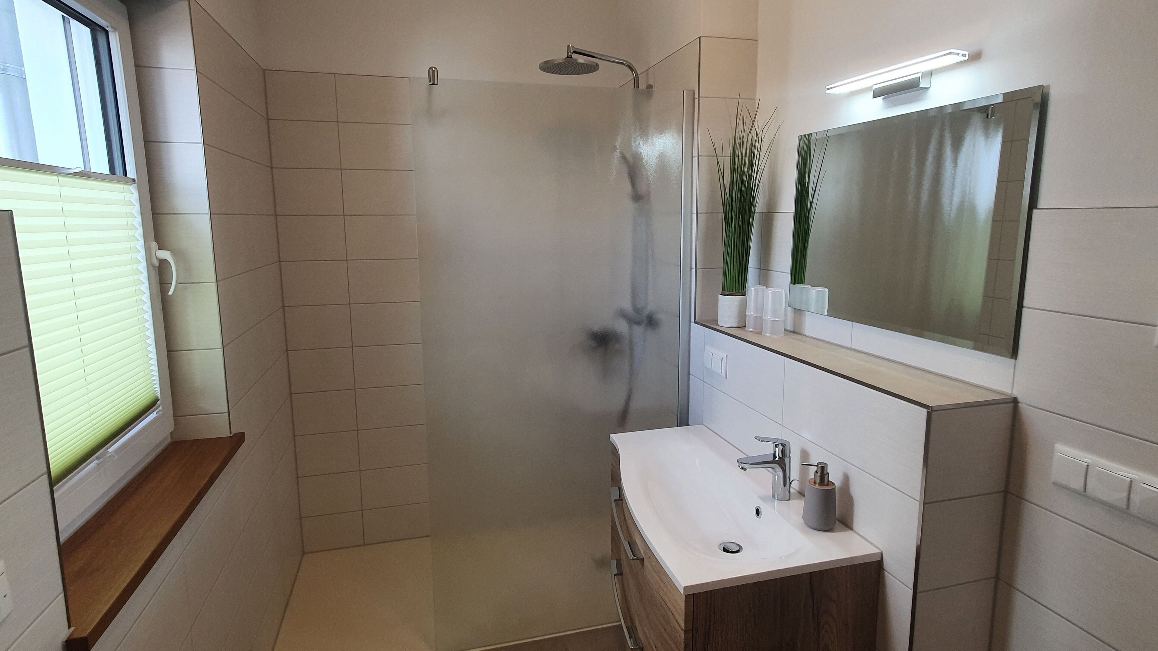 Shower, hair dryer, soap, toilet paper