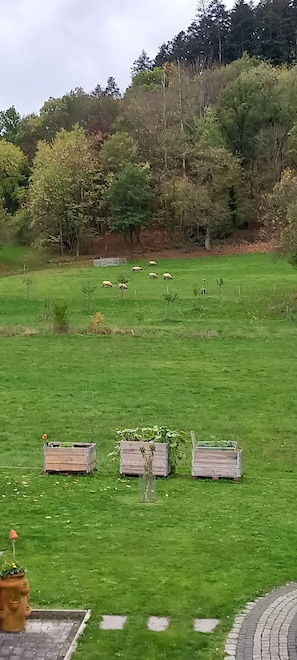 Unterkunftsgelände