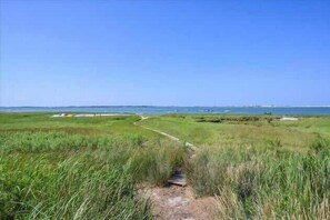 A coastal path leading to the sea with grassy areas and a clear sky.