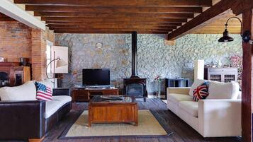 Télévision, cheminée