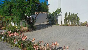Een geplaveid binnenterrein met cactussen, een boom en bloeiende planten.