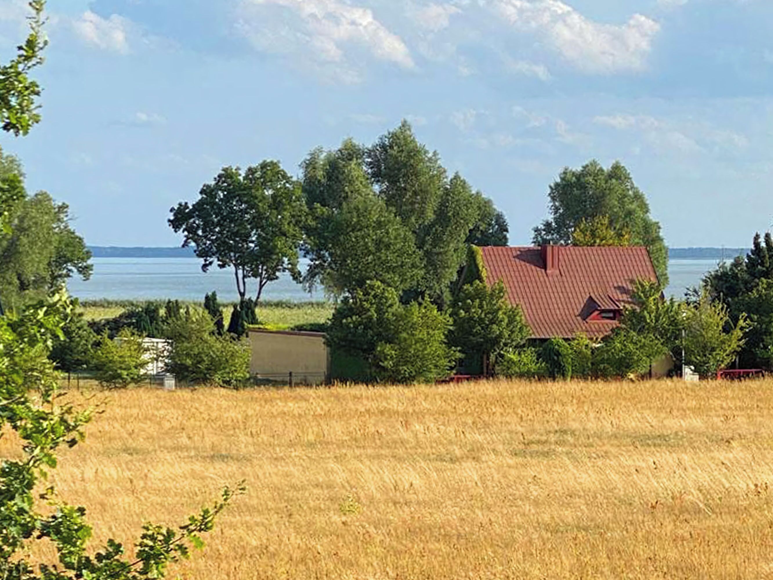 Un paysage rural avec un bâtiment à toit rouge, entouré d’arbres et bordé d’un champ.