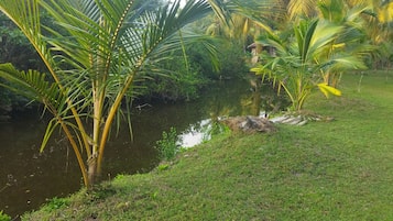 Área da propriedade
