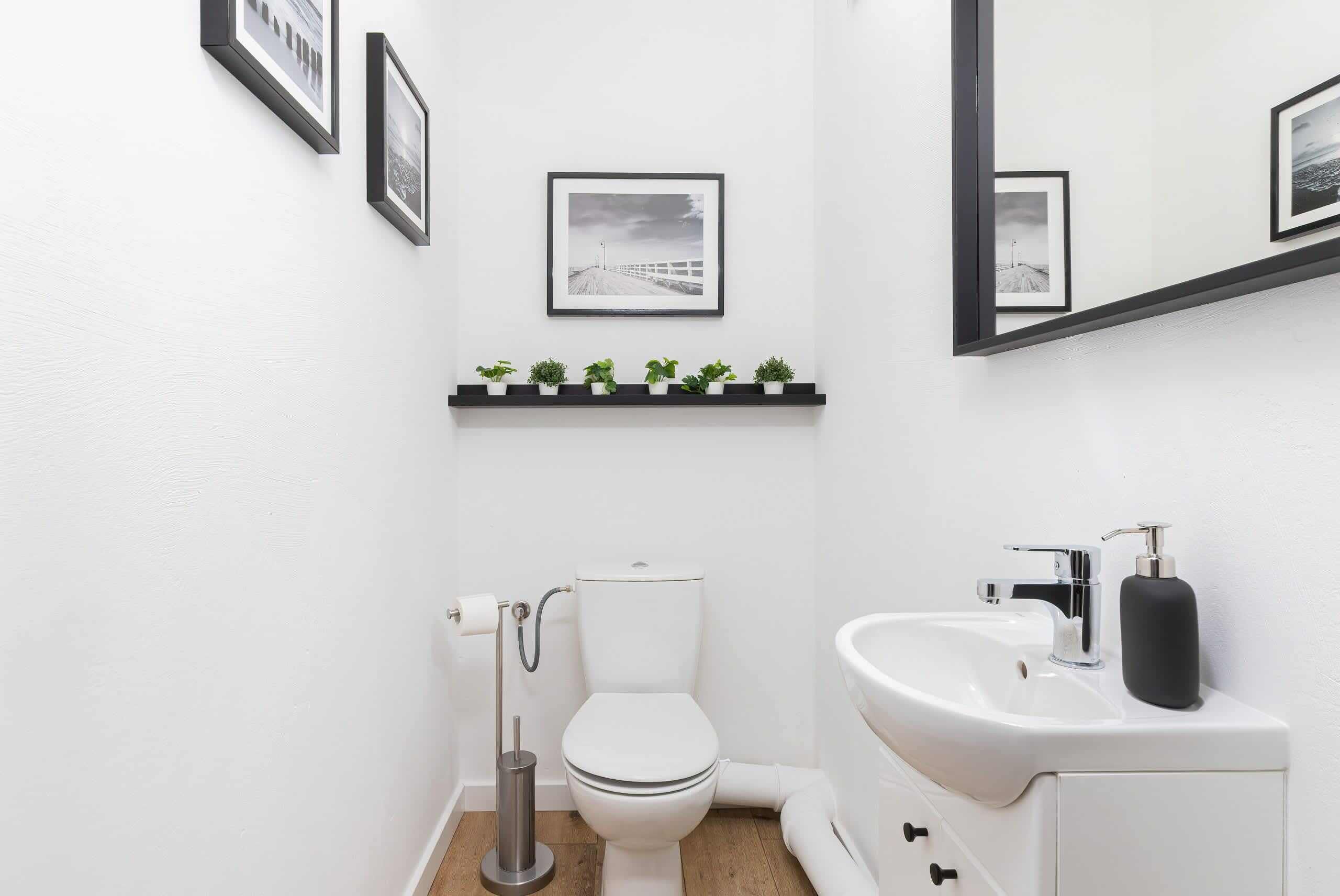 Un baño moderno con inodoro, lavamanos y una repisa con plantas en macetas.