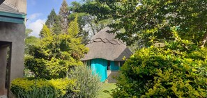 Cottage | Pool - The Best Green Garden Guest House in Harare (Harare)