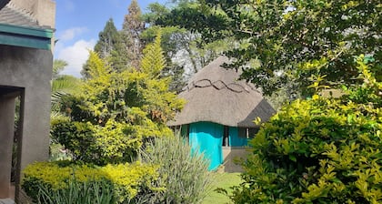 The Best Green Garden Guest House in Harare