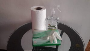 Dusche, Haartrockner, Bidet, Handtücher