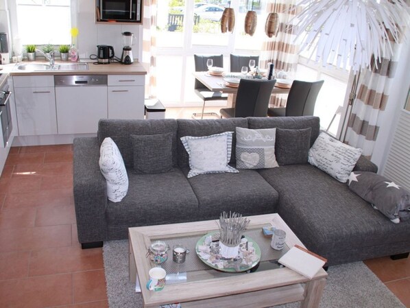 TV, fireplace, video games, DVD player