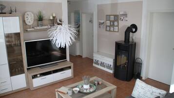 TV, fireplace, video games, DVD player