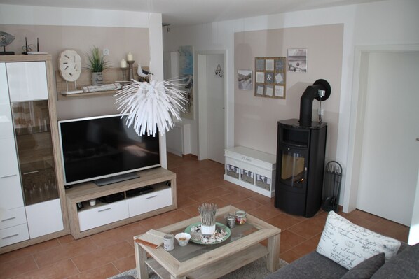 TV, fireplace, video games, DVD player