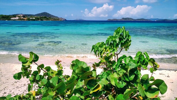 Ein Strand mit klarem türkisblauem Wasser, einem sandigen Ufer und üppiger grüner Vegetation im Vordergrund.