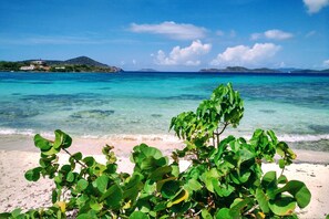 Een strand met helder turquoise water, een zandstrand en weelderige groene begroeiing op de voorgrond.