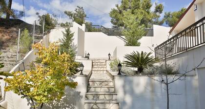Nestor Hillside Moniatis House
