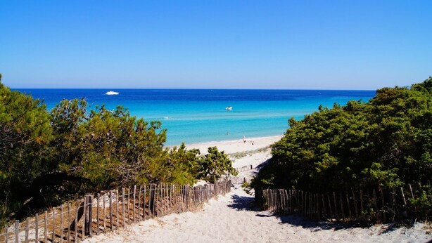 A beach with a wooden fence leading to the shore, clear blue water, and a boat in the distance. - Superb T3 N°1 Garden level Apartment, swimming pool, terrace (bastia)