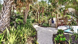 A pathway surrounded by lush greenery and palm trees, leading to a building with a visible door and windows. - Waterfront-20 Steps to Private Beach-1+ BR-Pets OK-Kayaks-SUPs-Best Sharkteeth (Englewood)