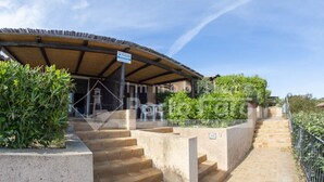 A covered outdoor area with steps leading to a building, surrounded by greenery and a clear sky. - 15B Appartamento - 15B PORTO MANNU (Palau)