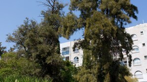 Un edificio a più piani con balconi e finestre ad arco, circondato da alberi fitti.