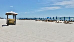 A beach with a sign offering chair rentals, pontoon boats, and dolphin tours.