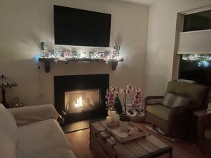 Smart TV, chimenea y reproductor de DVD