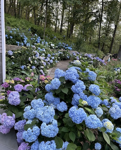 1 HR NYC Getaway Awesome Newly Renovated Home on 4 Acres, Stunning Views