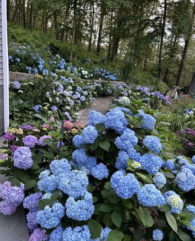 1 HR NYC Getaway Awesome Newly Renovated Home on 4 Acres, Stunning Views