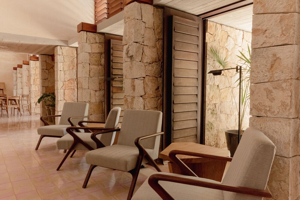 Club de Patos by null