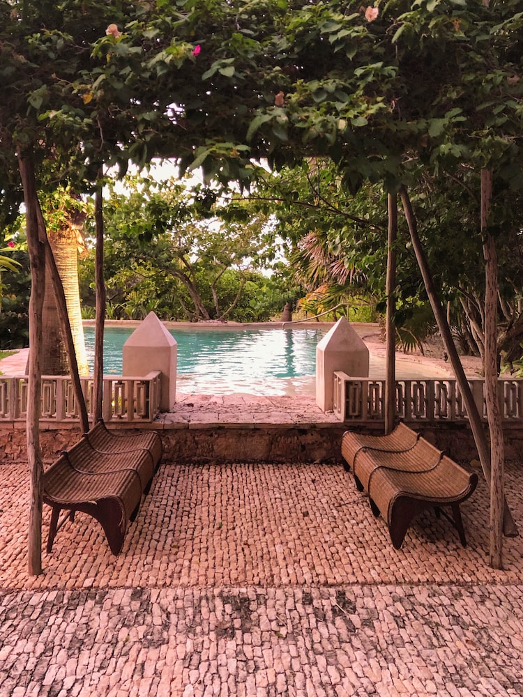 Club de Patos by null