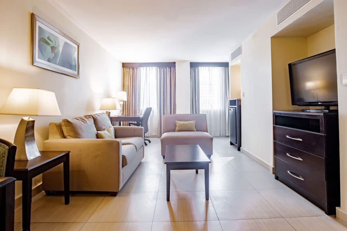 Executive Suite | Living area | 42-inch LED TV with cable channels, TV, books