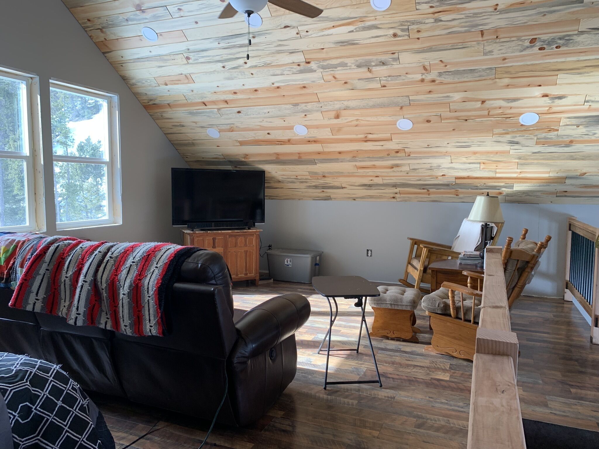 TV connectée, cheminée, lecteur de DVD, livres