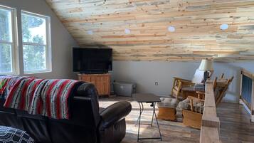 TV connectée, cheminée, lecteur de DVD, livres