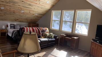 Smart TV, caminetto, lettore DVD, libri