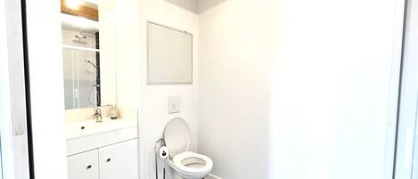 A bathroom with a white toilet, a sink with a mirror, and a shower.