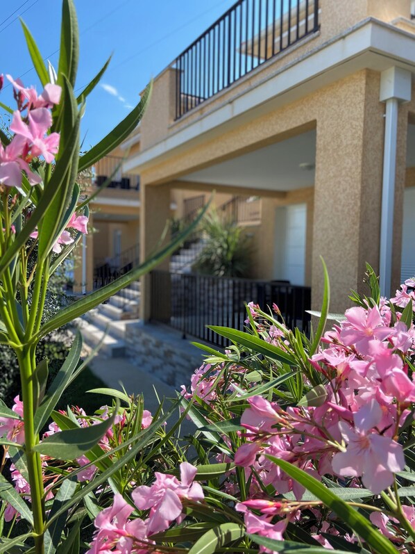 A building with balconies, a staircase, and a garden with pink flowers.