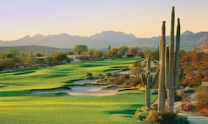 A desert golf course with cacti and mountains in the background.