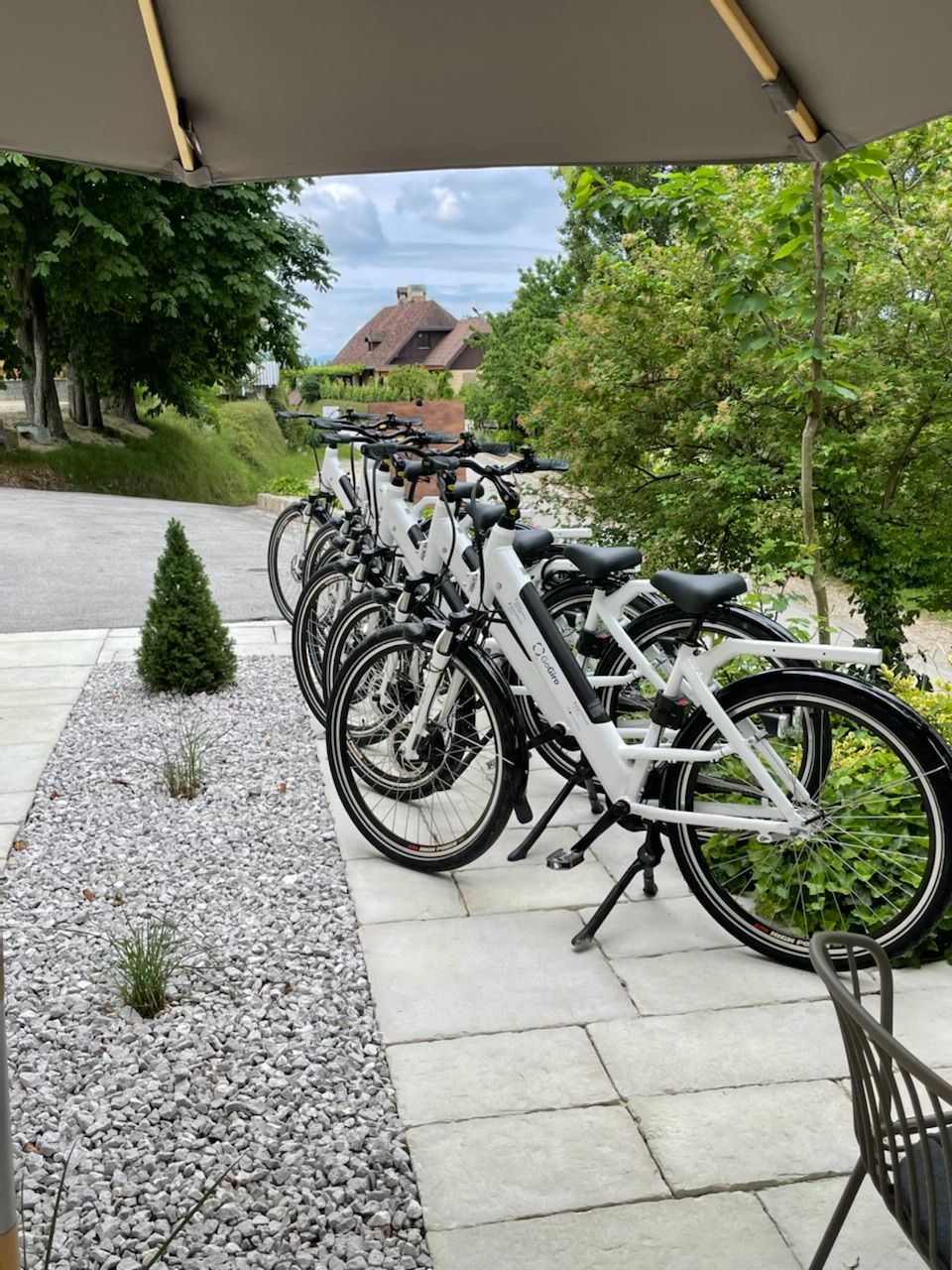 A row of bicycles parked under a covered area with a gravel path and small plants.