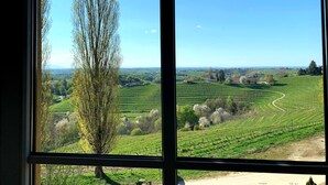 A view through a window of a vineyard landscape with rows of grapevines, a tree, and distant buildings. - SIBON Wine & Spa Resort Jeruzalem (Ljutomer)